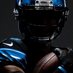 313 Detroit Lions