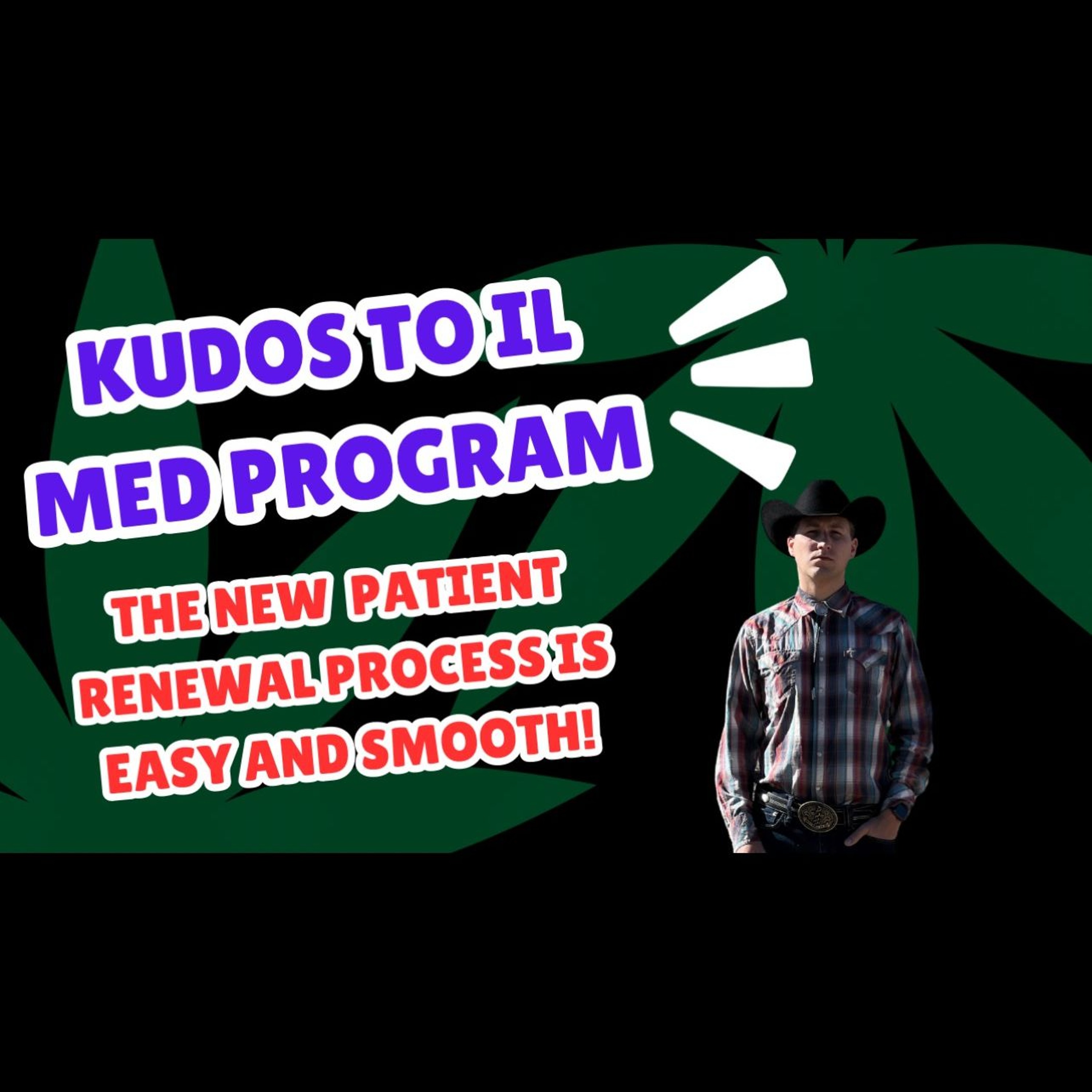#146 - From Paperwork to Progress: A Follow-Up on Illinois Medical Cannabis Evolution episode artwork