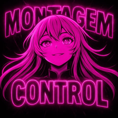 Montagem Control