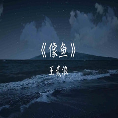 ChinaHouse - 王贰浪 - 像鱼 - 2023(Dj阿奇 VinaHouse Mix)