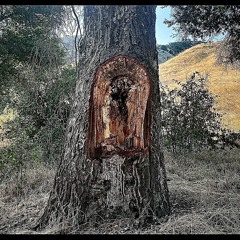 TORO y MOi // SOMANYDETAILS // ANVIL REMIX