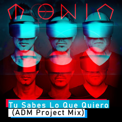 Tu Sabes Lo Que Quiero (ADM Project Mix)