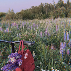 Я была бы всем для тебя