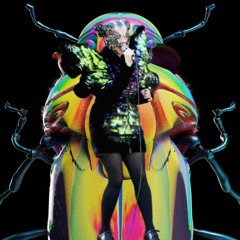 It's In Our Honeybee - Bjork x Grrl (Remix)