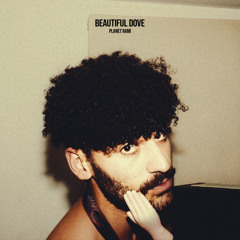 Beautiful Dove (feat. Justus West & Brain Flowers)
