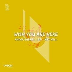 Andor Gabriel , BAI , Max Well - Wish You Were Here (Extended Mix)