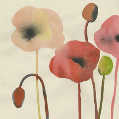 phoebe bridgers scott - street (tiktok version).m4a