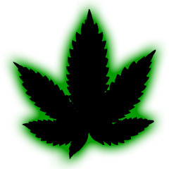 Cascadian Grown & Bless Coast Seeds - NW47 06/01/25