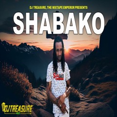 Shabako Mix 2023 | DJ Treasure