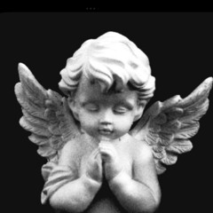 Vengeance prod @jshxwty