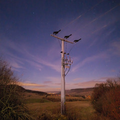 noram - a monday mix