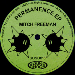 Mitch Freeman - Permanence