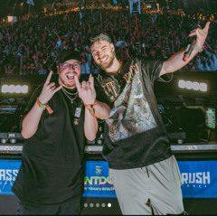 CRASH OUT X BASS CANNON