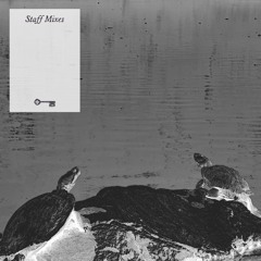 Staff Mixes
