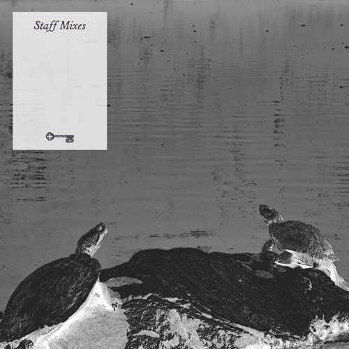 Staff Mixes