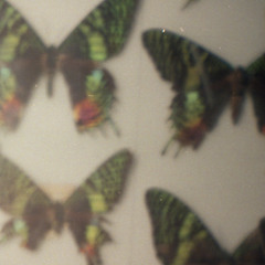 Mini Mix - PROMO poems @ OHM -  OCT 17TH