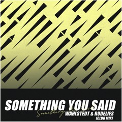 Wahlstedt & RudeLies - Something You Said (Club Mix)
