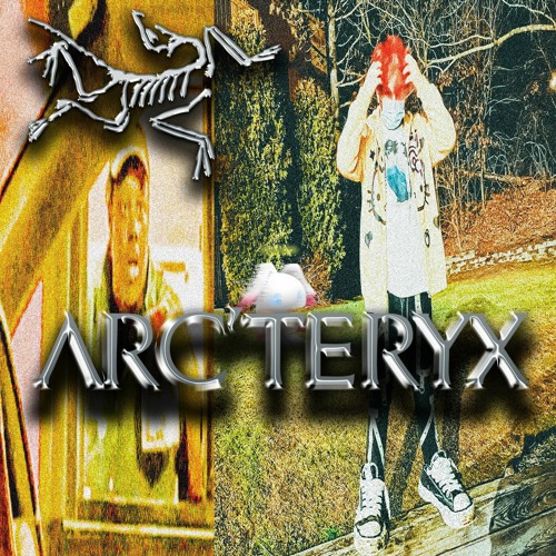 Arc'teryx (troinerXroxa)MV IN DESCRIPTION