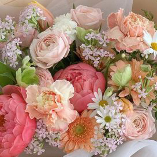 ‎⁨سورة العنكبوت بلال دربالي ⁩