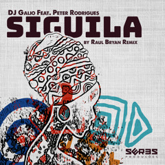 Siguila (Raul Bryan s Dub) [feat. Peter Rodrigues]