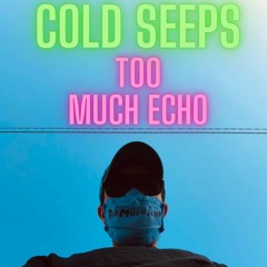 TOO MUCH ECHO