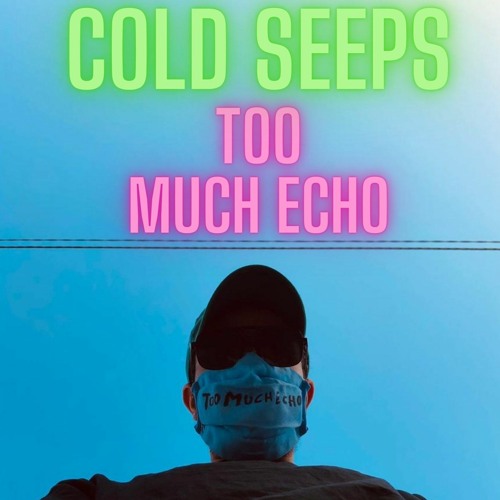 TOO MUCH ECHO