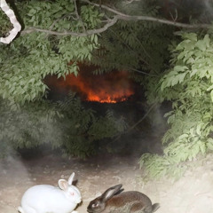 Gasoline (feat. slenderman)