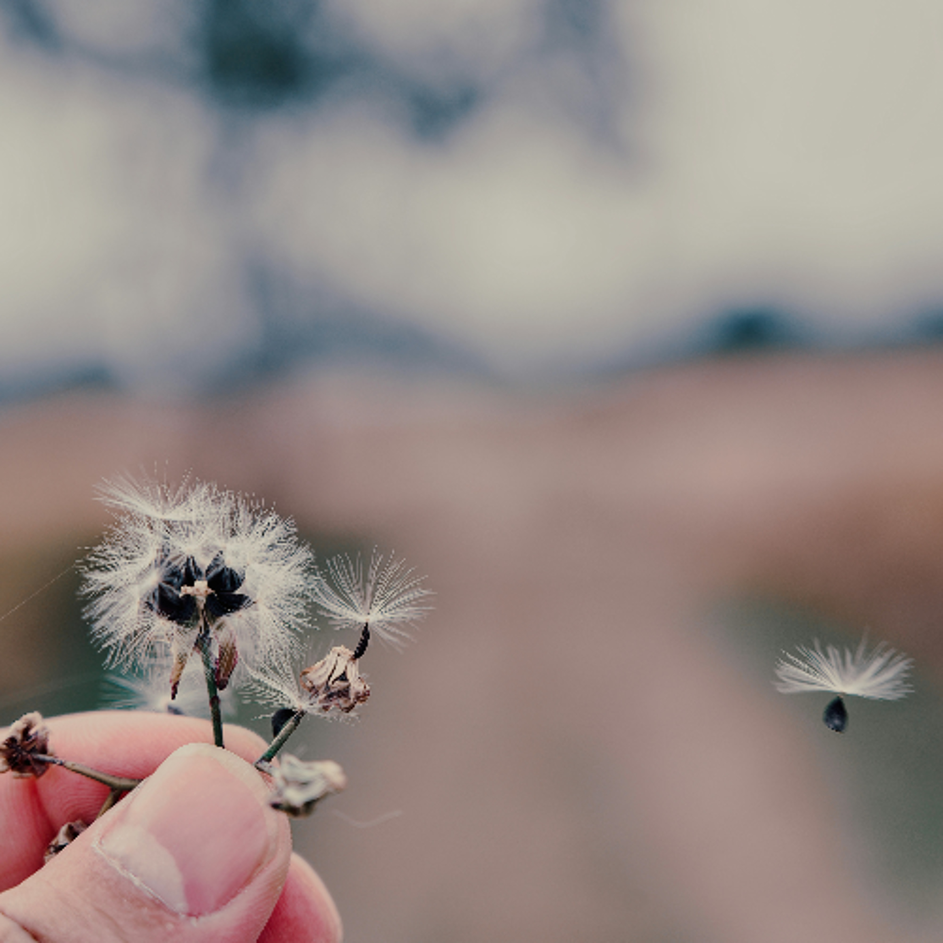 Ep. 549 Meditazione sulla felicità degli esseri