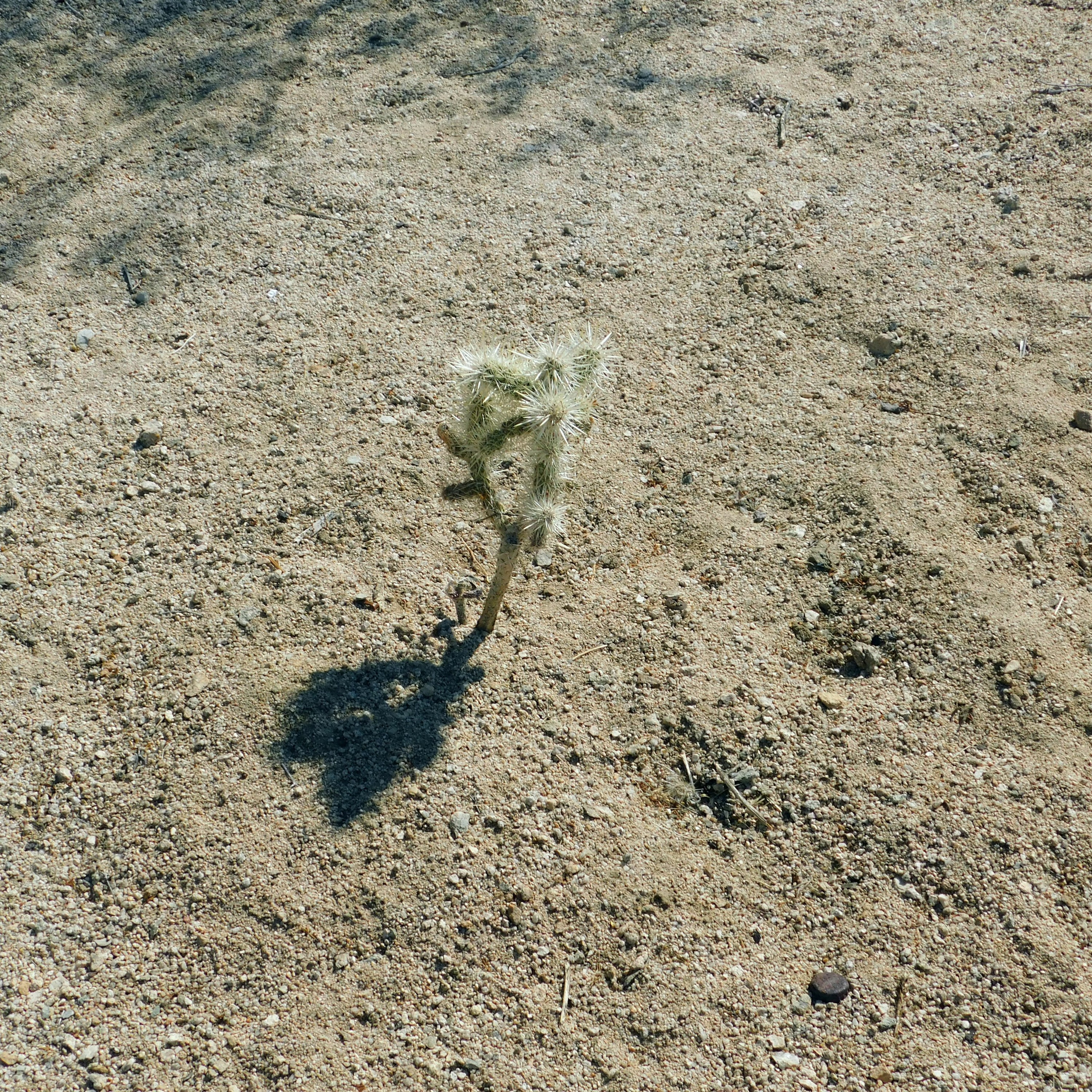 Control through Time Endures episode artwork