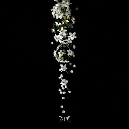 PREMIERE : Healing Noises - Wish Fulfillment [Secuencias Temporales]