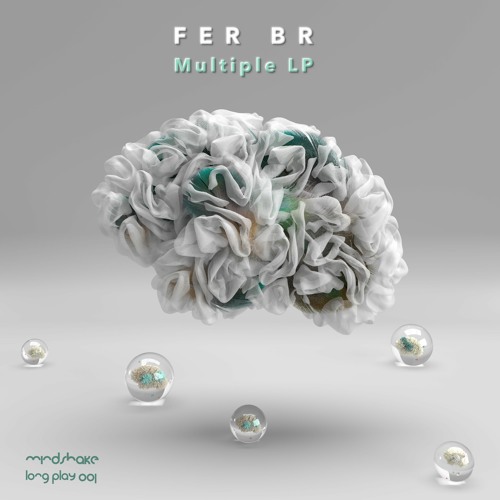 PREMIERE: Fer BR - I Feel You