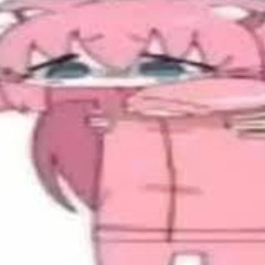 ¤¤¤