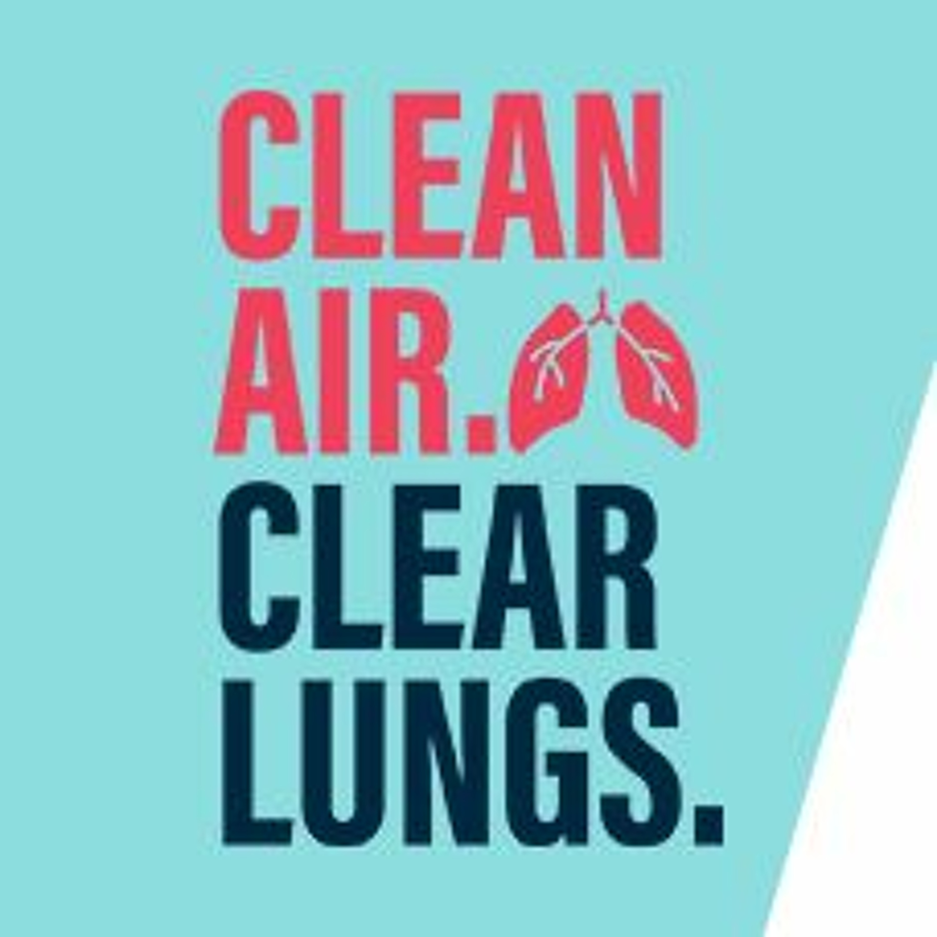 Clean Air. Clean Lungs. - Michelle Baxter - Audio Grab 2