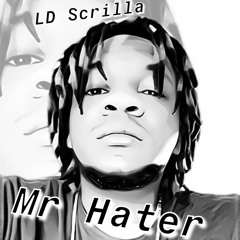 Mr Hater - LD Scrilla