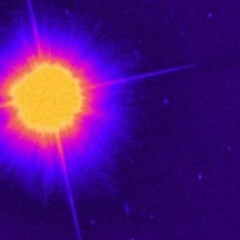 Rudy Kardos v Tantrum Tonic