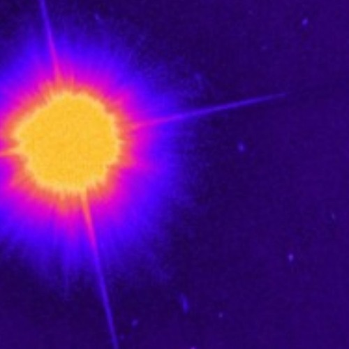 Rudy Kardos v Tantrum Tonic