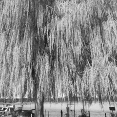 U8 / U1 und dann U1 / U8