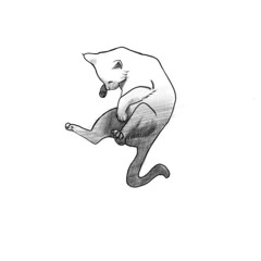 Miau