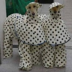 i just want someone to fucking hug me (aresden)