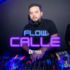 Mix Flow Calle [DjCesarPiedra] 2022