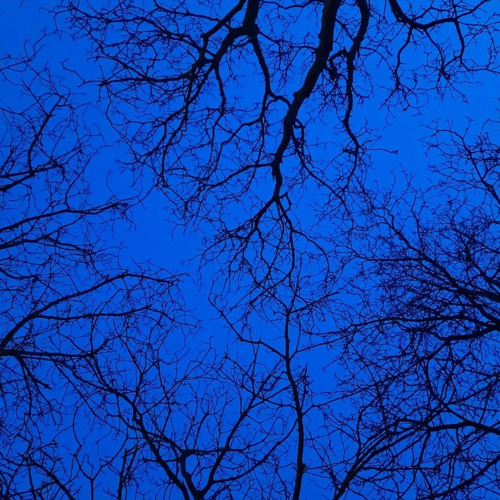 self destruct (prod. bruferr beatz)