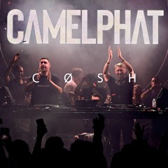 CC024 - 100% CamelPhat