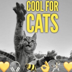COOL FOR CATS