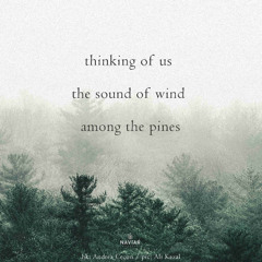 thinking of us ( Naviarhaiku 600 )