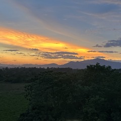 Playlist trời xanh ơi nổi cơn gió lên | Ước Mơ Của Em Là Kết Hôn Cùng Anh