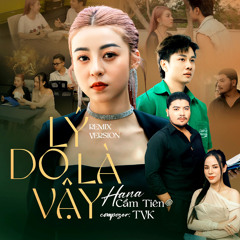 Lý Do Là Vậy (Remix) [feat. TVk]
