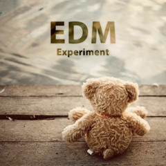 EDM Experiment - 1m