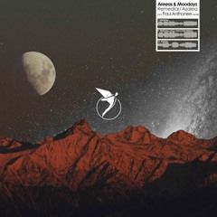 Areeas & Moodayz - Remedial (Paul Anthonee Remix)