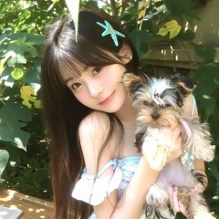 THE LAST MOHICAN - WIN REMIX