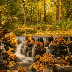 On the hunt for hidden dams